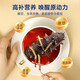 Tongrentang (TRT) Beijing Tongrentang Cordyceps gift box for New Year’s Day tonic gift 7 grams (1 gram 7 bottles)/box