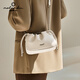 Nalandu Bag Women's Women's Chain Bag Bag Сумка облачная сумка диагональ подарка на день рождения подарок на день рождения