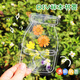 Qiaoxinshi leaf specimen plastic sealing film 20 pieces of handmade diy material dried flower bookmarks autumn ginkgo leaves transparent leaf plants