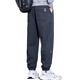 Trueves wardrobe men's spring loose trousers 2025 new workwear harem pants trendy casual pants men's black XL