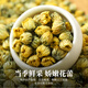 茗愿胎菊菊花茶60g无熏硫桐乡杭白菊花蕾干枸杞金银花泡水喝养生凉茶