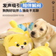 HuanChong.com pet dog toy for dogs to play with to relieve boredom, self-pleasure, resistant to chewing, grinding teeth, making sounds for puppies and puppies, dog walking and amusing tool