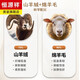 Hengyuanxiang otoño e invierno de estilo británico de estilo británico chaqueta de lana de lana larga de lana de doble cara traje de negocios de alta gama Collar gris [lana de lana de cachemira de doble cara] XL (180)