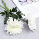 Garden new Qingming Festival yellow and white chrysanthemum flower bouquet mourning grave sweeping ancestor worship mountain praying to God Guangzhou base white chrysanthemum 100 pieces does not include vase