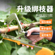 Jingkai branch binding machine, tomato, cucumber and grape binding machine, vine binding gun, branch binding kidnapper, vine binding machine, grape finisher set