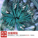 Guangtai 1-finger, 2-finger, 3-finger, 4-finger drag net, drag net, drag net, clear pond fishing net, partition net, seine fish net, 12 strands, mesh, 3 fingers, 3 meters high, 20 meters long, unfolded height is 2.1 meters