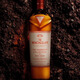 The Macallan (der Macallan) Zhenwei außergewöhnliche Serie Zhenwei Kakao Single Form Scotch Whisky 700ml