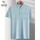 
Woodpecker (TUCANO) Middle-aged Men's Lapel Short Sleeve T-shirt Daddy Summer Thin Polo Shirt Middle-aged Ice Silk Half Sleeve Men Old Man T Ice Silk-9855 Gray Real Pocket 3XL 56/185