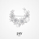 Jay brooch, female corsage, female accessories, safety pin, lapel pin, birthday gift for mother, mother-in-law, elders