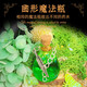 玩具先生小小魔法师儿童生日礼物DIY模拟女巫科学探索实验魔法药水瓶套装 礼盒豪华版小小魔法师送魔法棒+