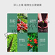 Phosphate Fertilizer Superphosphate Flower Fertilizer Vegetable Fertilizer Root Strengthening Fertilizer Adjusting Soil Fertilizer Vegetable Planting Agricultural Fertilizer Planting Flowers Phosphate Fertilizer High Concentration 10Jin Jin is equal to 0.5 kg