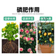 Phosphate fertilizer, superphosphate fertilizer for growing vegetables and flowers, fertilizer for fruit trees, flowers and agricultural crops, general flower-stimulating calcium phosphate fertilizer, phosphate fertilizer 500Jin Jin is equal to 0.5kg (sent in whole package)
