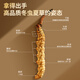 Tongrentang Brand Beijing Tongrentang Cordyceps Cordyceps can be paired with ginseng to nourish the elders gift box 1 box 5g [Fuyun Gift Box] About 4 sticks/gram About 20 sticks
