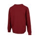耐克NIKE【滔搏运动】女子AS W NY LUXE WAFFLE L/S CREW G卫衣 HV8466-677 XL
