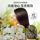 佰束多肽角蛋白焦发还原霜修复受损染烫柔顺改善毛躁发质护发素发膜 蛋白还原霜300ml*1