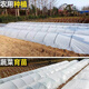 Runhuanian white transparent agricultural thickened small shed special film vegetable field insulation film winter 2 meters wide 4 wires thick agricultural small shed film 10 meters long