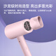FLYCO negative ion hair dryer household quick-drying portable high-wind hot and cold air hair dryer FH6278