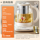 SUPOR pure titanium health kettle, tea kettle 316L stainless steel, enlarged filter, household multi-functional small office glass kettle, flower tea kettle, multi-stage heat preservation 1.5L titanium heating plate