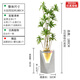Nordic flow water and wealth fountain ornaments circulating water office living room TV cabinet next to floor bonsai humidifier 9928A water bonsai height 49CM