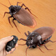 Delixin Internet Celebrity Induction populaire Cockroach électrique Jouets pour enfants garçons et petites filles Technologie noire Prank Décompression Artefact Créativité [Mini Version - Cockroach d'induction] Brown 9902A + Tournevis [Version de luxe] Another + 36 Electronics