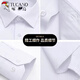 Woodpecker long-sleeved shirt men's solid color business casual professional formal wear no-iron suit spring and autumn inner base shirt men S108 white (long sleeve) XL