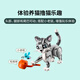 乐高（LEGO）积木拼装31163 顽皮小猫男孩女孩儿童玩具生日礼物