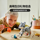 乐高（LEGO）积木拼装31163 顽皮小猫男孩女孩儿童玩具生日礼物