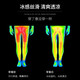 Alan Burton Running Compression Shorts Men's Men's Professional High Elastic Marathon Training Pantalon à séchage rapide La taille de dos peut mettre un pantalon de requin serré sur la ligne noire de téléphone mobile [Speed Séchage Élastique] L [115-130Jin [Jin est égal à 0,5 kg]]]