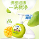 Lion Qujing Foam Antibacterial Hand Sanitizer Green Field Green Mango Fragrance 250ml Natural Plant Extract Moisturizing Home Moisturizing Children