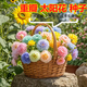 重瓣多层太阳花四季大花易活开花不断耐寒耐旱大花籽阳台庭院 1.重瓣太阳花种子(又名午时花) 【2包种子共有16789粒】+肥一包