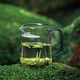 High temperature resistant fair cup, simple tea cup, large capacity male tea cup, household filterable tea sea tea water separator, green handle, straight crescent moon, 450ml 1 piece