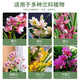 Captain's Garden Orchid Special Soil Clivia Phalaenopsis Planting Material Advanced Orchid Soil Granular Fertilizer High-end Pine Bark Orchid High-end Version 6 Liters (Approximately 5 Jin Jin is equal to 0.5 kg)