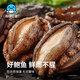 Seafood Family's extra-large belly abalone 12 pieces 360g boxed processing-free hot pot barbecue ingredients seafood gift box New Year's gift