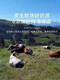 俄罗斯牛初乳蛋白粉 高钙中老年营养粉无蔗糖高钙冲泡高蛋白独立 500克*1袋 两种包装随机发货