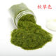 Simulated grass powder handmade moss bonsai wild moss micro landscape rockery diy moss plant paving micro landscape 40g dark brown