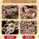 
Beijing Tongrentang Pang Donglai Quality, Broken Wall Ganoderma lucidum spore powder, adults, middle-aged and elderly people, 20 bags/box for immunity, 1 shot, 2 [including 2 boxes for gift], a total of 80g [Broken Wall Spore powder