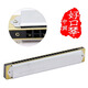 Tongbao Japon Tongbao 6624S Adulte Harmonica Performance professionnelle Étudiants Advanced Polyphonic harmonica 12-tunes, symboles phonétiques, morceaux couramment utilisés, cadep