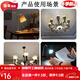 Ampoule XMSJLED ÉVALBE MULLOOR MULTIONNELLE CHANDELIERS MÉNAGE FILÉS FIL INDOOR E27 Large Bid Trou E14 BULLE DE BOULE DE CORNSEUR D'ÉNERGIE E1416VV BLANC LETURE PROJET 1 PROJET 1