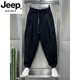 JEEP SPIRIT高档2025夏季新款透气垂休闲裤男士潮流宽松褶皱哈伦萝卜裤新品 黑色 L 建议110-130斤