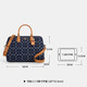 Coach 25 New Rowan Series Sac féminin Boston Boston Light Luxury Areader Sac à main Sac à main à l'ancienne pour petite amie Blue Cy699-IMXIA (grande taille)
