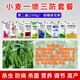 One-spray three-prevention high-yield package for wheat to increase yield, foliar fertilizer, aphid rust, scab, powdery mildew special pesticide, bagged, 8 packets of medicine for the first pass (150g)