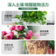 Lingwo plant universal nutrient solution flower fertilizer household concentrated potted wealth tree rich bamboo green dill succulent hydroponic flowers universal 500ml*1 bottle