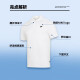 Nike (NIKE) T-shirt men's 2025 spring and summer men's short-sleeved lapel POLO shirt breathable casual tennis white pure cotton short-sleeved men FN3895-100/big/white 2XL