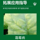 Grain 722g/liter downy mildew hydrochloride vegetable cucumber pepper downy mildew disease bactericide pesticide