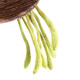 
Yibai Honeysuckle Tea Herbal Tea Selection with Fluffs, You can use wolfberry chrysanthemum tea soaked in water to drink health tea 40g