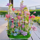 野花组合花种子除虫菊花种籽子四季播种开花格桑花花籽太阳花阳台 野花组合花种子【88种组合】五颜 四包新籽籽【3889粒粒】多种组合