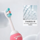Dr. Ma Children's Toothbrush 1-3-6-7 Years Old Soft-bristled Baby Oral Cleaning Baby Training Toothbrush Rabbit