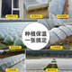 Runhuanian white transparent agricultural thickened small shed special film vegetable field insulation film winter 2 meters wide 4 wires thick agricultural small shed film 10 meters long