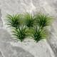 Simulated flower plant new medium pineapple flower plant potted green plant indoor plastic fake flower living room wall hanging decoration grass green (length about 5.5cm) 50 pcs