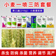 One-spray three-prevention high-yield package for wheat to increase yield, foliar fertilizer, aphid rust, scab, powdery mildew special pesticide, bagged, 8 packets of medicine for the first pass (150g)